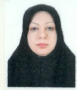 وکیل اکرم محمدی