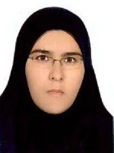 وکیل اکرم نصیری