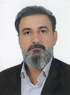 وکیل جعفر فیلی