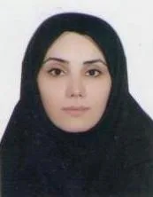 وکیل حدیثه برزگر
