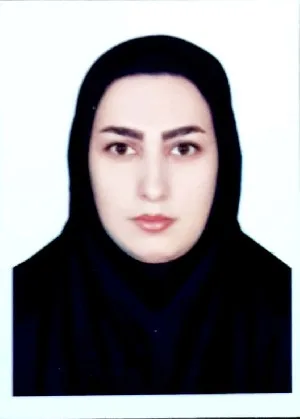 وکیل حدیثه دیلم