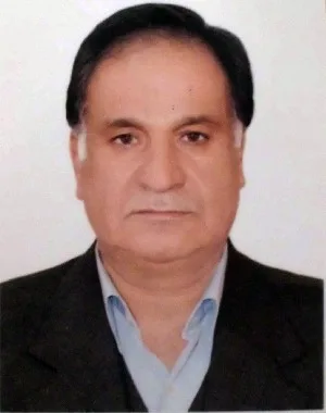 وکیل حسین امین شکروی