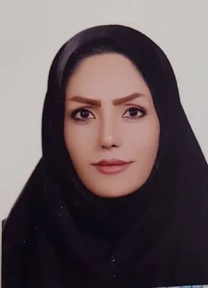 وکیل حماسه مهدی زاده