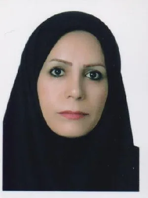 وکیل حیران نظری