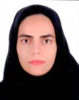 وکیل خاتون رئیسی