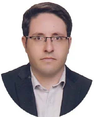 وکیل رامین صالحی نیری