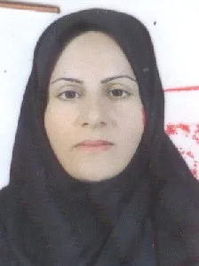وکیل رباب محمدی نوبری