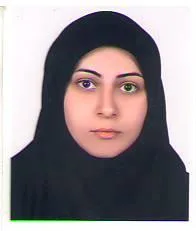 وکیل روحین درستی