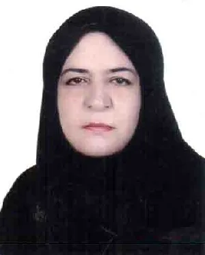 وکیل زهرا حجی‌ آبادی‌