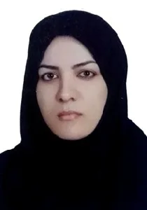 وکیل زینب زائری