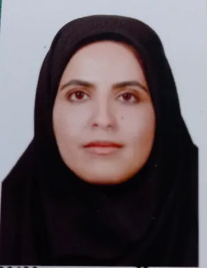 وکیل زینب سنگ بری