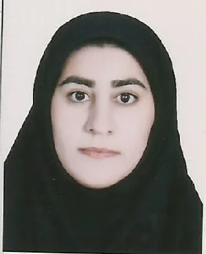 وکیل زیور آبتین