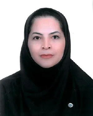 وکیل ساناز والی