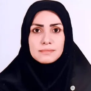 وکیل سرور السادات میریان