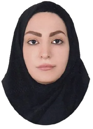 وکیل سرور رازقی