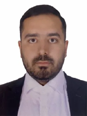 وکیل سعید ابراهیمی