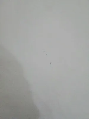 وکیل سعیده جهانتیغی