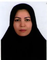وکیل سلیمه اسلام پرست
