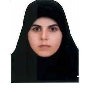 وکیل سمیه امیری تولون