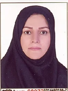 وکیل سمیه عبداللهی ارجنکی