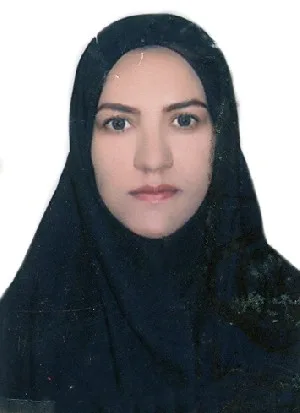 وکیل سمیه محمدی