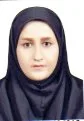 وکیل سهیلا مهاوی