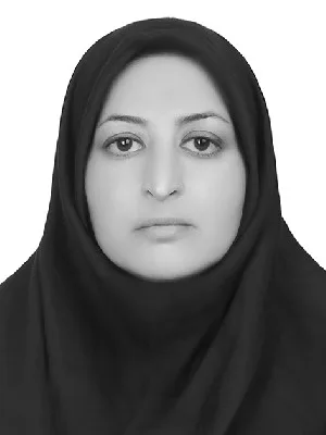 وکیل سوناز معینی