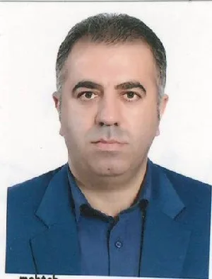 وکیل سید احمد میر معینی