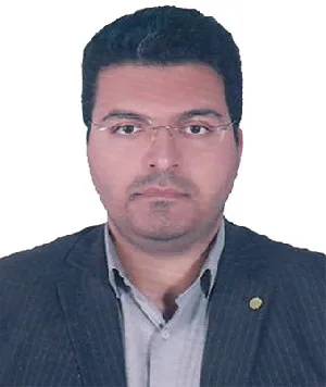 وکیل سیدمجتبی میرموسوی