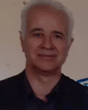 وکیل سیدمحسن هاشمی