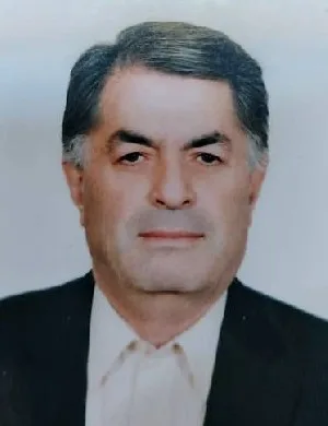 وکیل سیدمهدی میرزائی