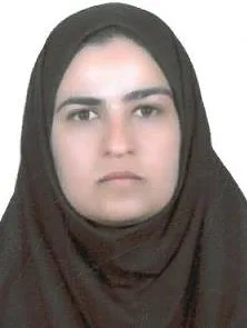 وکیل شوکت دهقان هراتی