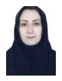وکیل صدیقه امیریان