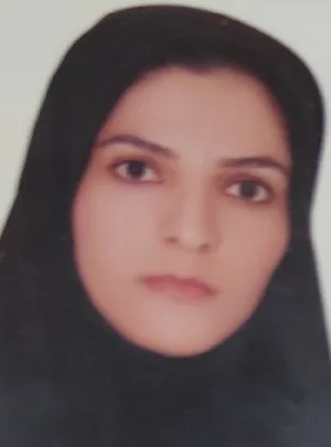 وکیل عاطفه انصاری