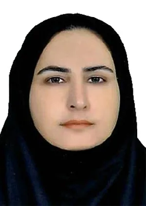 وکیل عصمت ابارشی