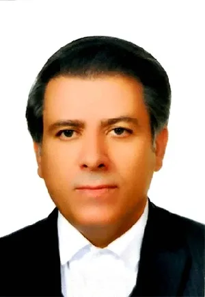 وکیل علی حمزه پور