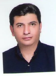 وکیل علی نجیبی