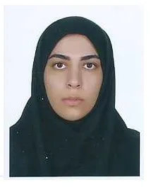 وکیل فائزه بان پو