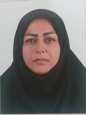 وکیل فاطمه افچنگی