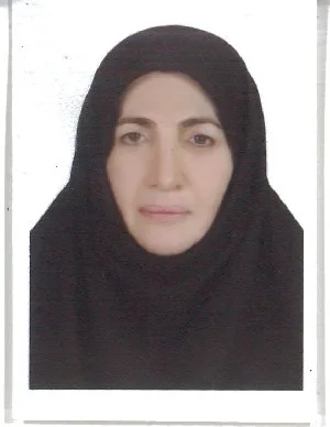 وکیل فاطمه پارسائی