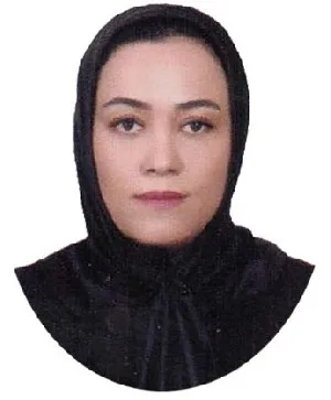 وکیل فرزانه میرزارسولی