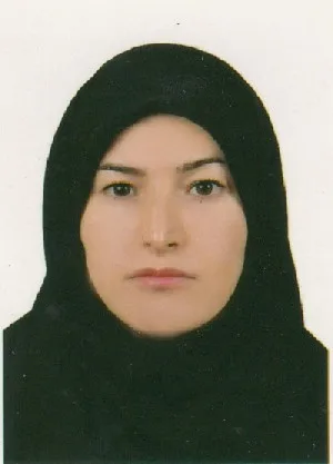 وکیل فرنگیس خوارزمی
