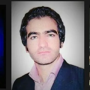 وکیل فضل اله محمدی