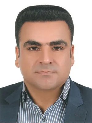 وکیل مجتبی محمدی