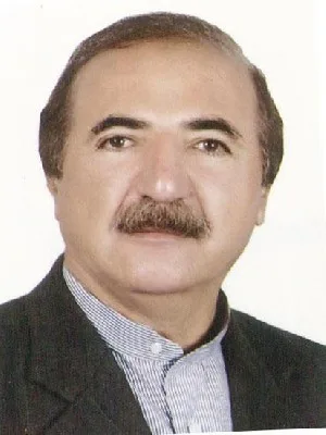 وکیل مجید رفاعی