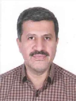 وکیل مجید وزیری