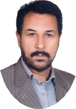 وکیل محرم پناه لو