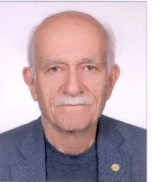 وکیل محمد بهمنی