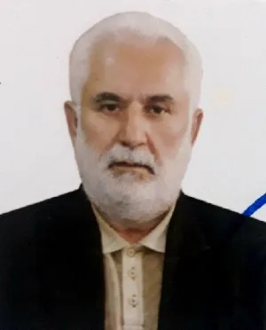 وکیل محمد مهدی صفائی