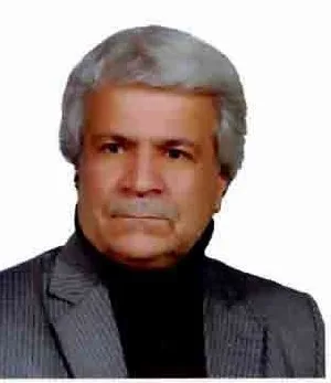 وکیل محمد کریم حنیفی